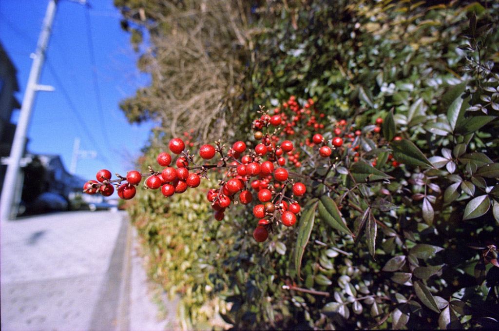 b0158237_22344128.jpg