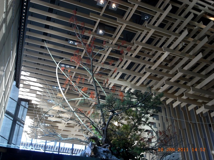 c0022340_111347.jpg