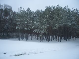 f0107640_10364010.jpg