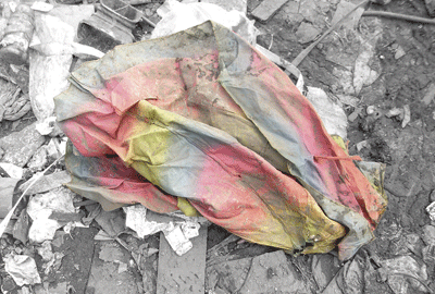 f0209541_0501785.gif