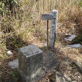 e0164643_231826.jpg