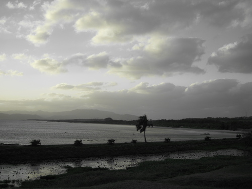 c0145449_0314333.jpg