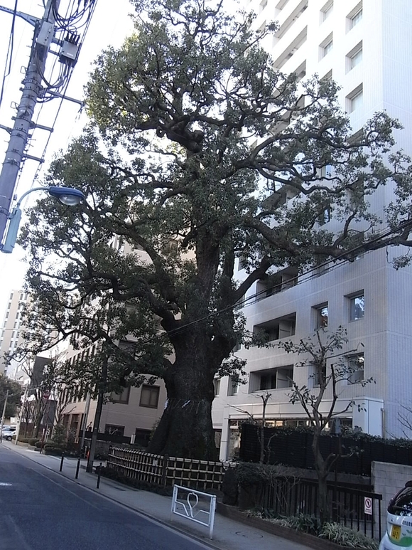 a0169150_22192238.jpg