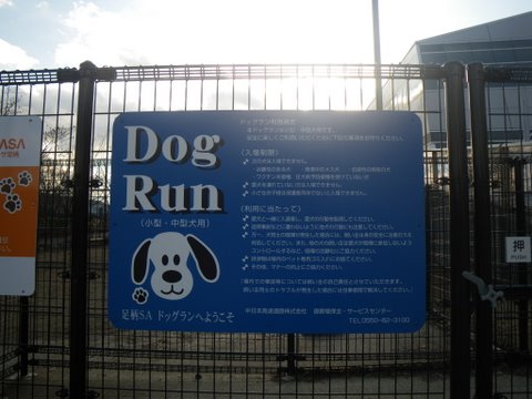 f0046250_0165575.jpg