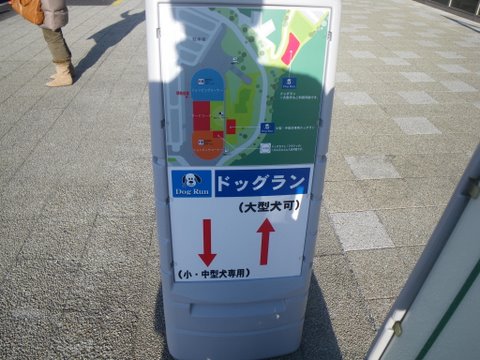 f0046250_0192189.jpg