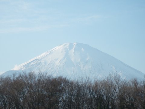f0046250_094528.jpg