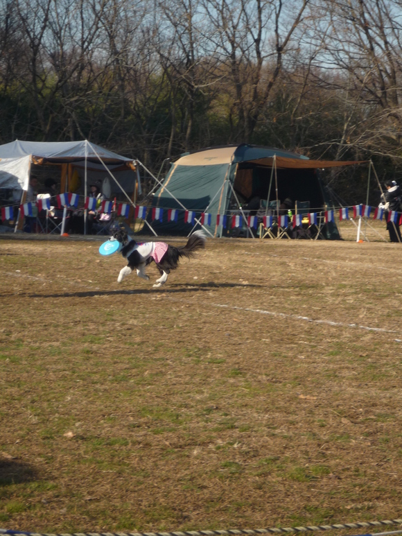 a0157156_2101613.jpg