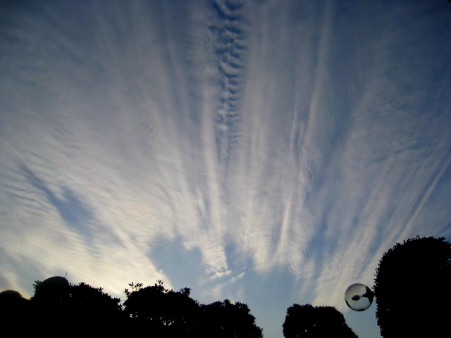 e0099756_17454888.jpg
