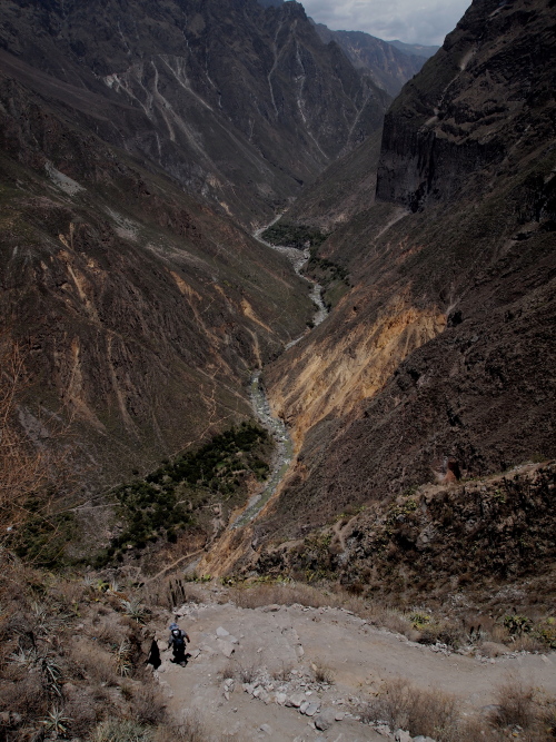 d0171760_826112.jpg