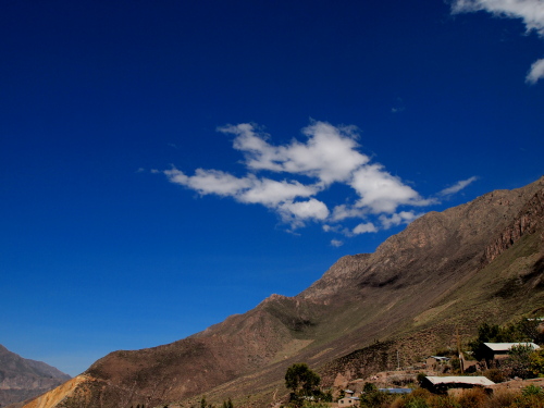 d0171760_8264167.jpg