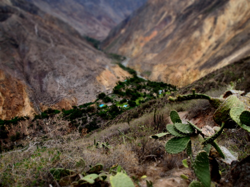 d0171760_8273385.jpg