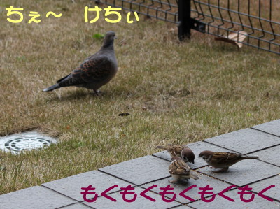 b0158061_2139928.jpg