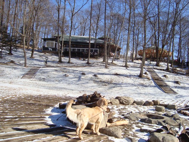 d0152765_2214787.jpg