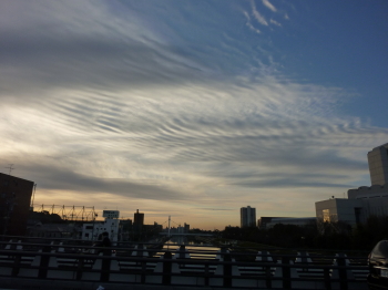 d0173368_19194683.jpg