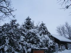 b0128173_22553376.jpg