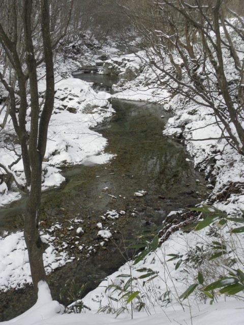 d0134473_16125856.jpg