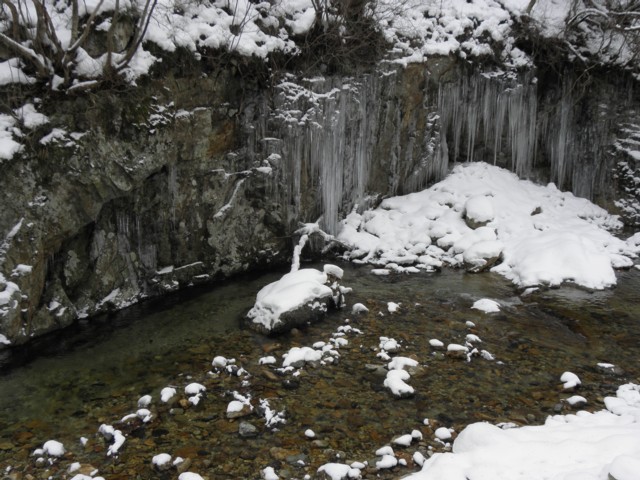d0134473_16174636.jpg