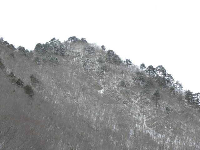 d0134473_16191079.jpg