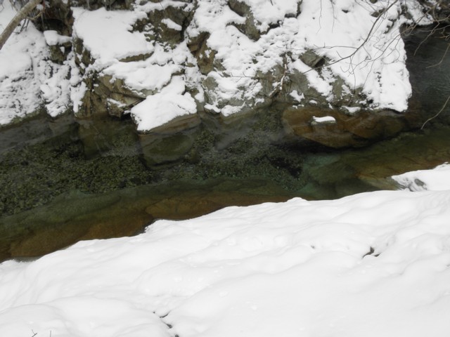 d0134473_16212421.jpg