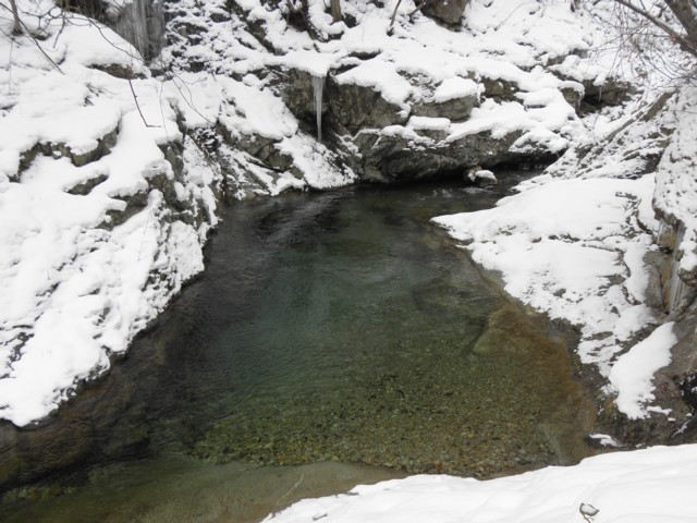 d0134473_16243638.jpg