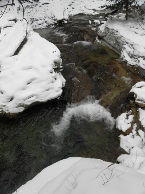 d0134473_16361389.jpg