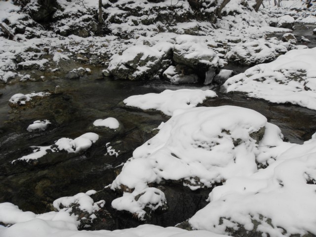 d0134473_1639063.jpg
