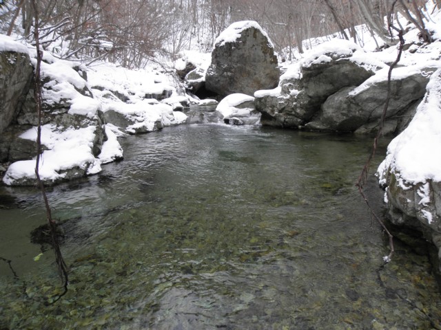 d0134473_164192.jpg