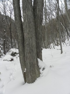 d0134473_1642181.jpg