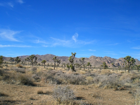 c0187677_358966.jpg