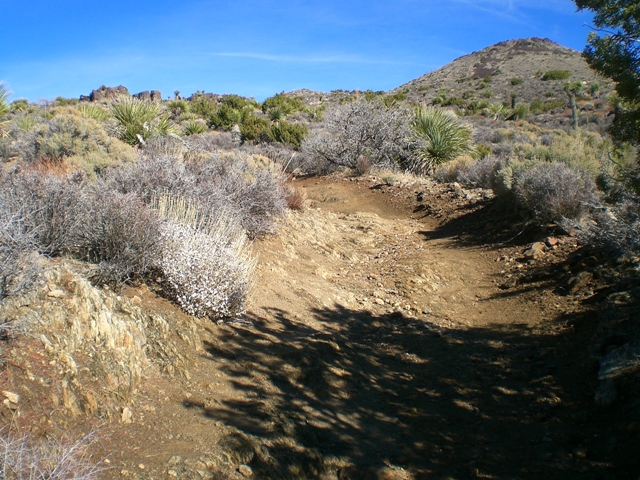 c0187677_429793.jpg