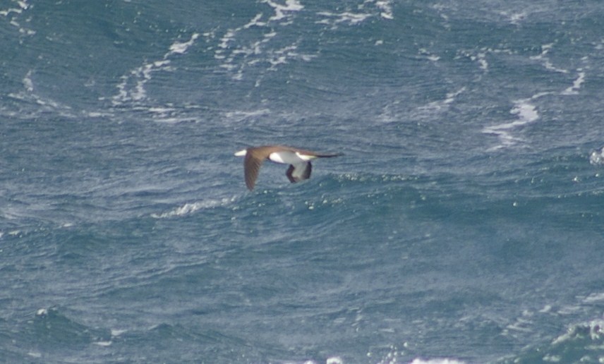 e0197884_1395156.jpg