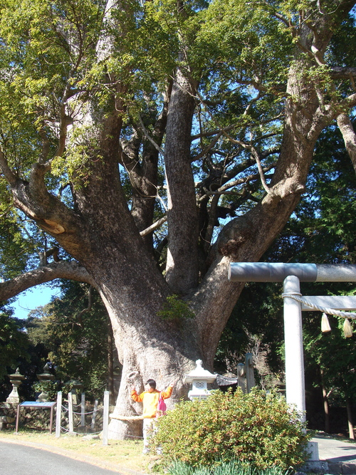 c0035386_15305260.jpg