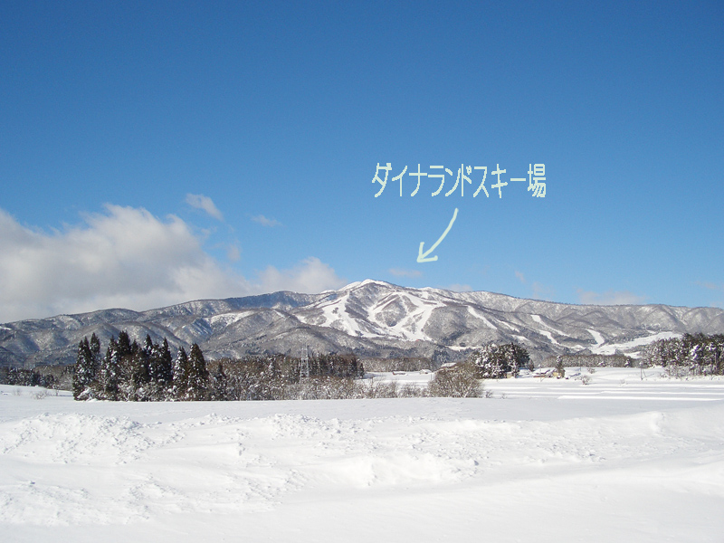 f0215487_23354468.jpg