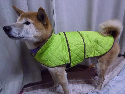 c0123890_2014623.jpg
