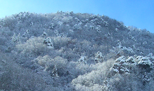 b0099994_1733595.jpg