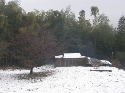 e0017396_2211542.jpg