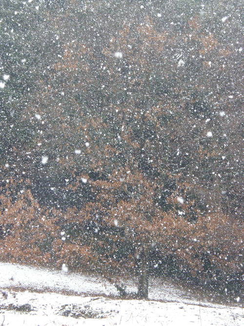 e0017396_22254864.jpg