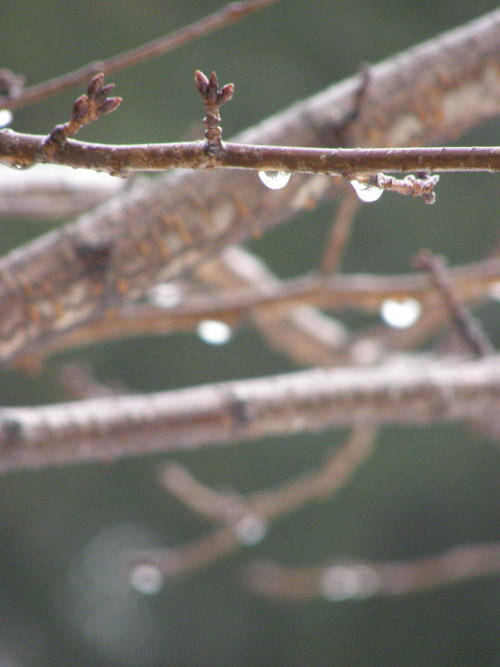 e0017396_23433187.jpg