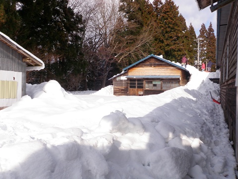 a0138198_16584597.jpg