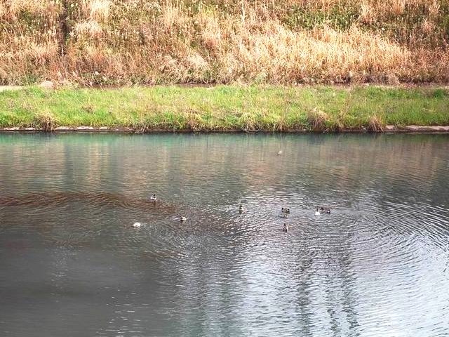 e0025300_12123385.jpg