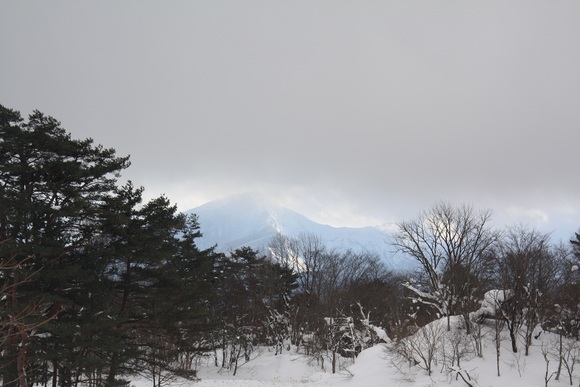 f0034602_204014.jpg