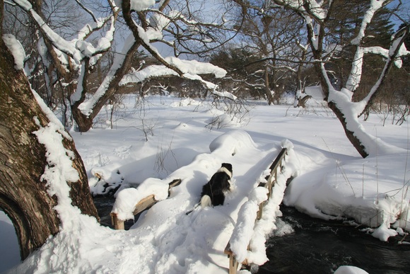 f0034602_20443640.jpg