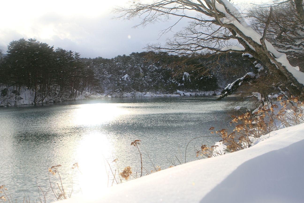 f0034602_20454128.jpg