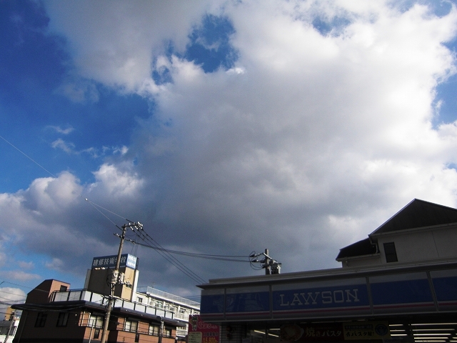 a0060806_16214216.jpg