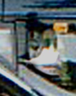 e0103408_0244955.jpg