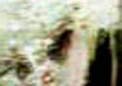 e0103408_0261789.jpg
