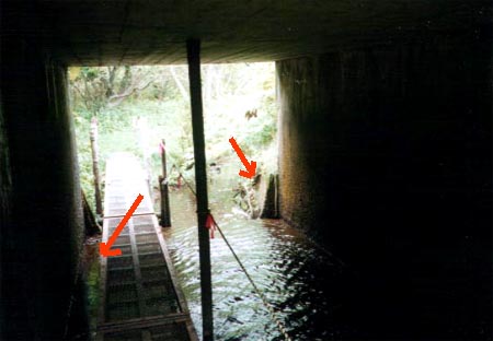 e0103408_0263365.jpg