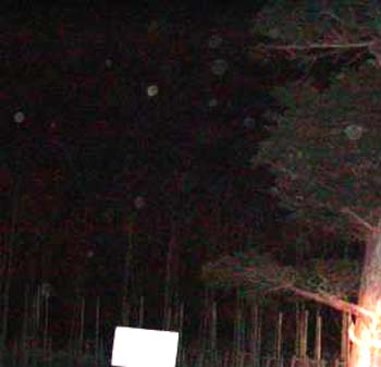 e0103408_0273452.jpg