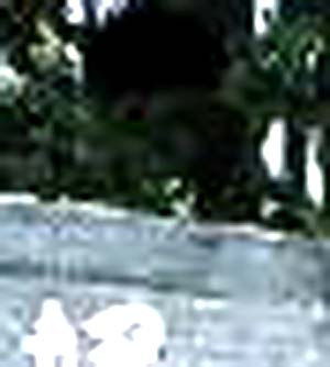 e0103408_18481776.jpg