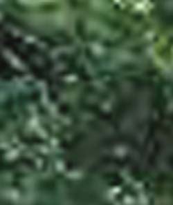 e0103408_1961280.jpg